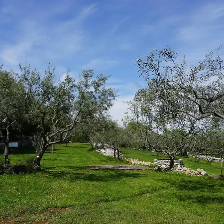 House Istria With Private Pool And Sea View Апартаменты Равни